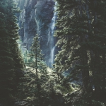 thomas-kelley-JoH60FhTp50-unsplash-2のコピー
