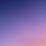 ashley-whitlatch-36aGnv29Ss0-unsplash