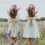 daiga-ellaby-sl8LHdVH06U-unsplash