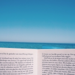 gonard-fluit-269139-unsplash