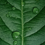guy-williams-l5Kbu0LEEGg-unsplash