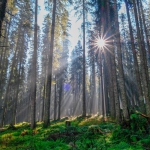 marco-secchi-1065990-unsplash