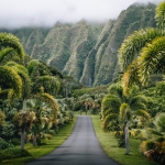 peter-thomas-TRAYV5rsA9Y-unsplash