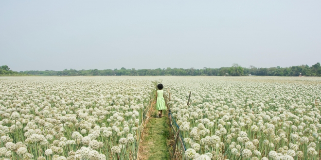 pexels-mushfiqur-rahman-2158530446-35488372