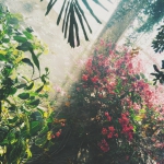 Processed with VSCO with g3 preset