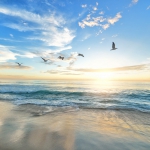 A photo by frank mckenna. unsplash.com/photos/OD9EOzfSOh0