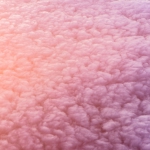unsplash