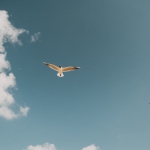 whoisbenjamin-SdSdU8_4Pfk-unsplash